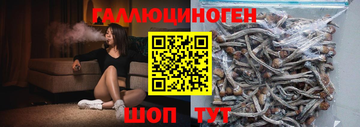Псилоцибиновые грибы ЛСД Екатеринбург